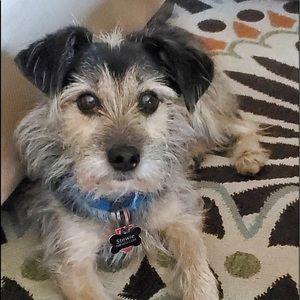 Meet your Posher, Elizabeth